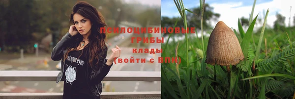 прущая мука Козельск